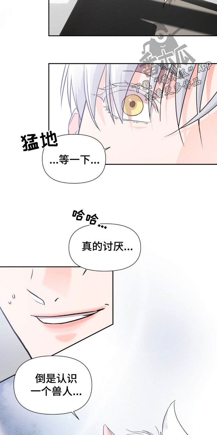 养狼为患漫画,第19章：搭档1图