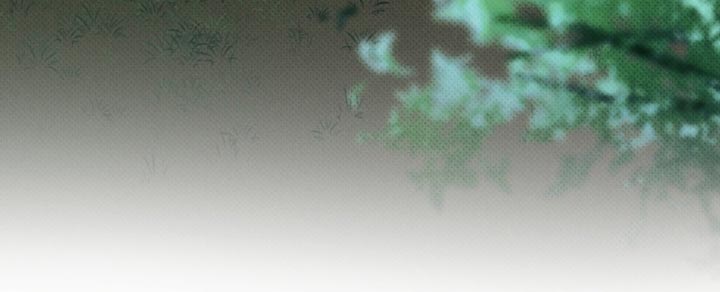 无息车贷可以提前还款吗漫画,第26章：是想给你看4图