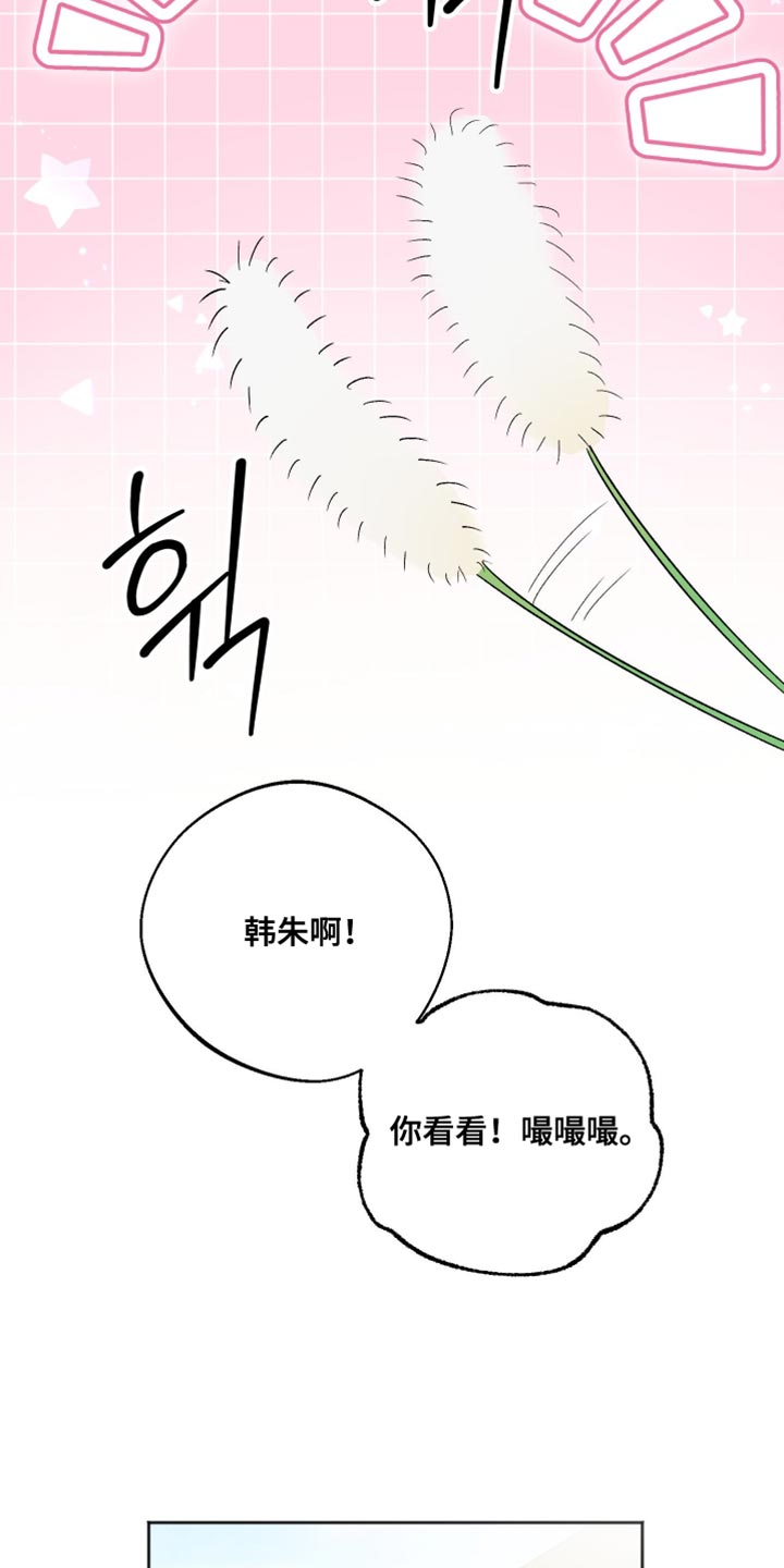 前世的祈愿漫画,第28章：皱着眉头5图