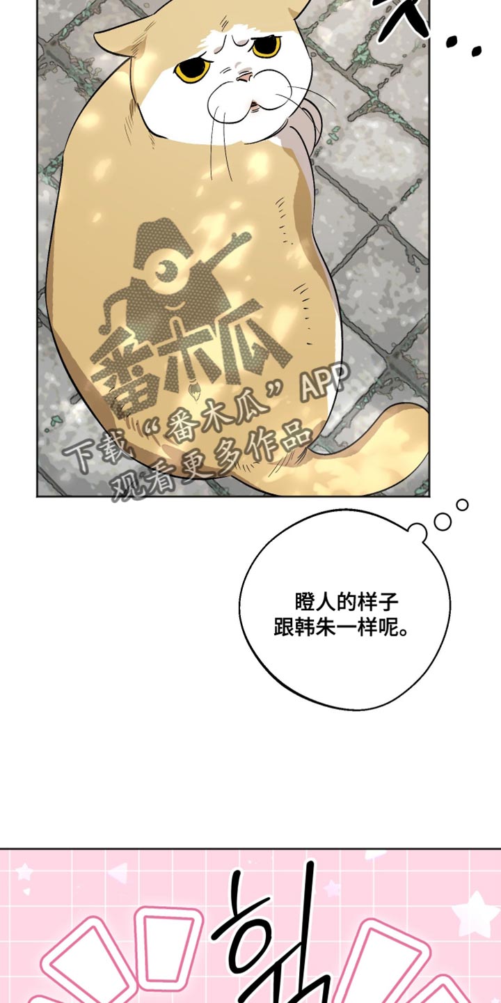 前世的祈愿漫画,第28章：皱着眉头4图