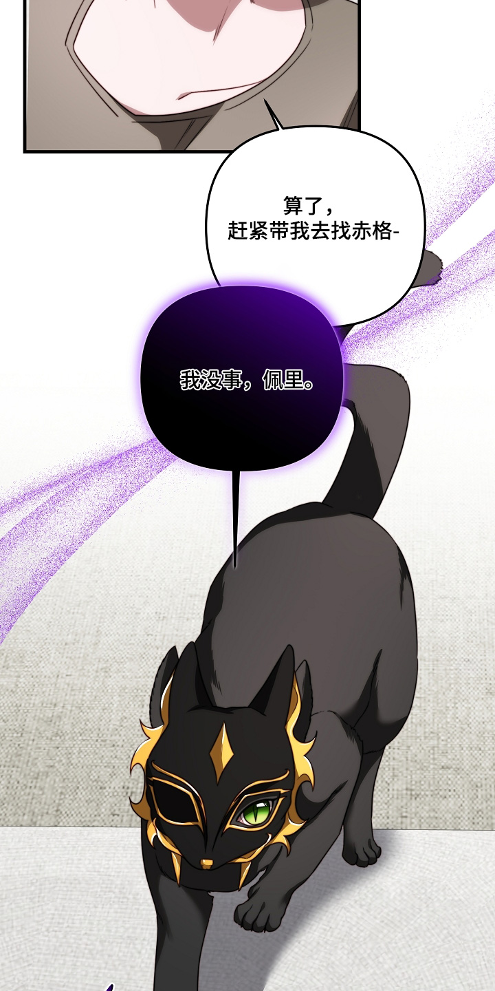 傀儡协战玩法技巧漫画,第20章：一样固执5图