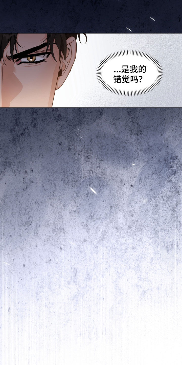 虎伴蛇行漫画,第17章：不太对劲1图