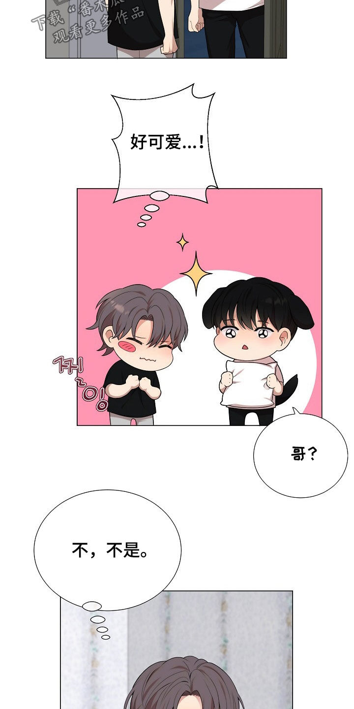 偏执依存漫画免费观看最新章节漫画,第22章：真碍事4图