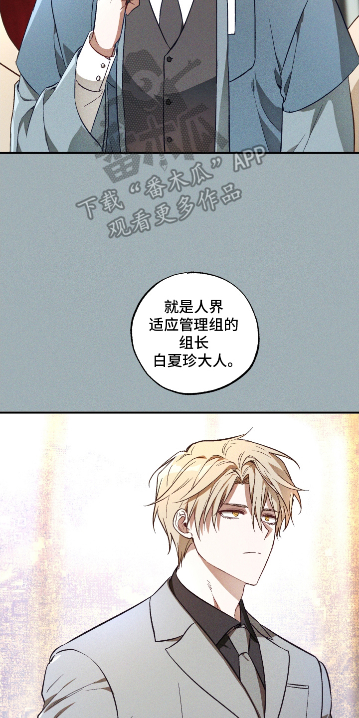 总裁的深渊契约漫画,第11章：组长4图