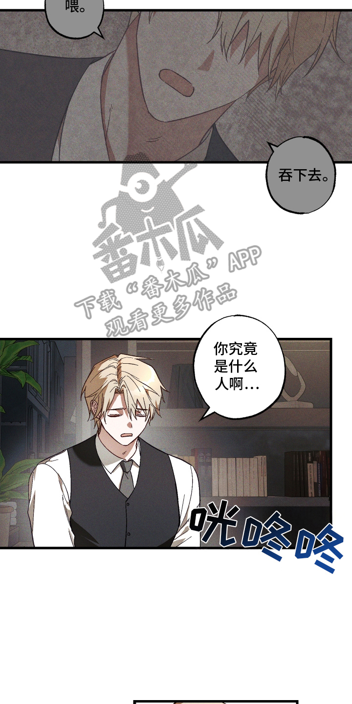 总裁的深渊契约!漫画,第5章：九尾珠4图