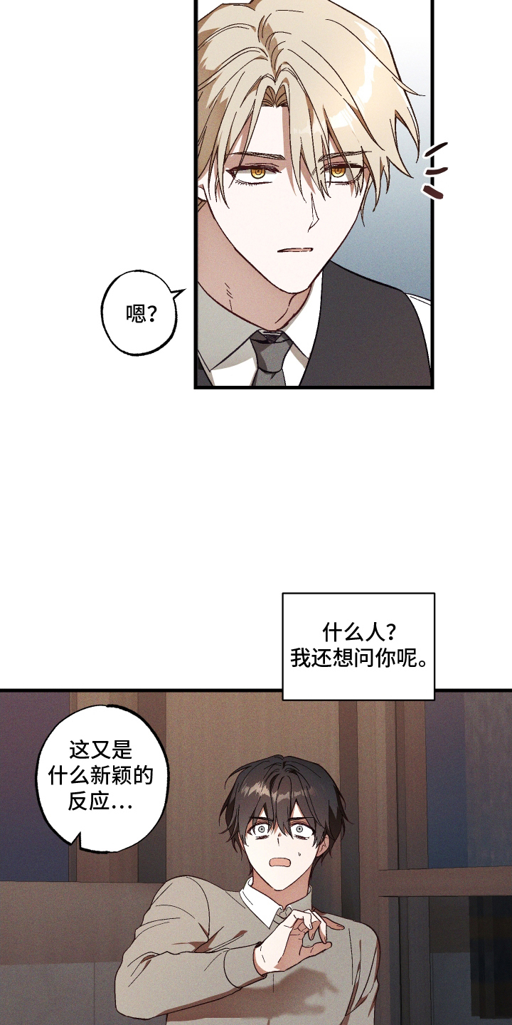总裁的深渊契约!漫画,第5章：九尾珠5图