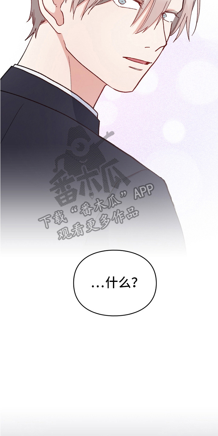 纯情代码漫画,第20章：带回家4图