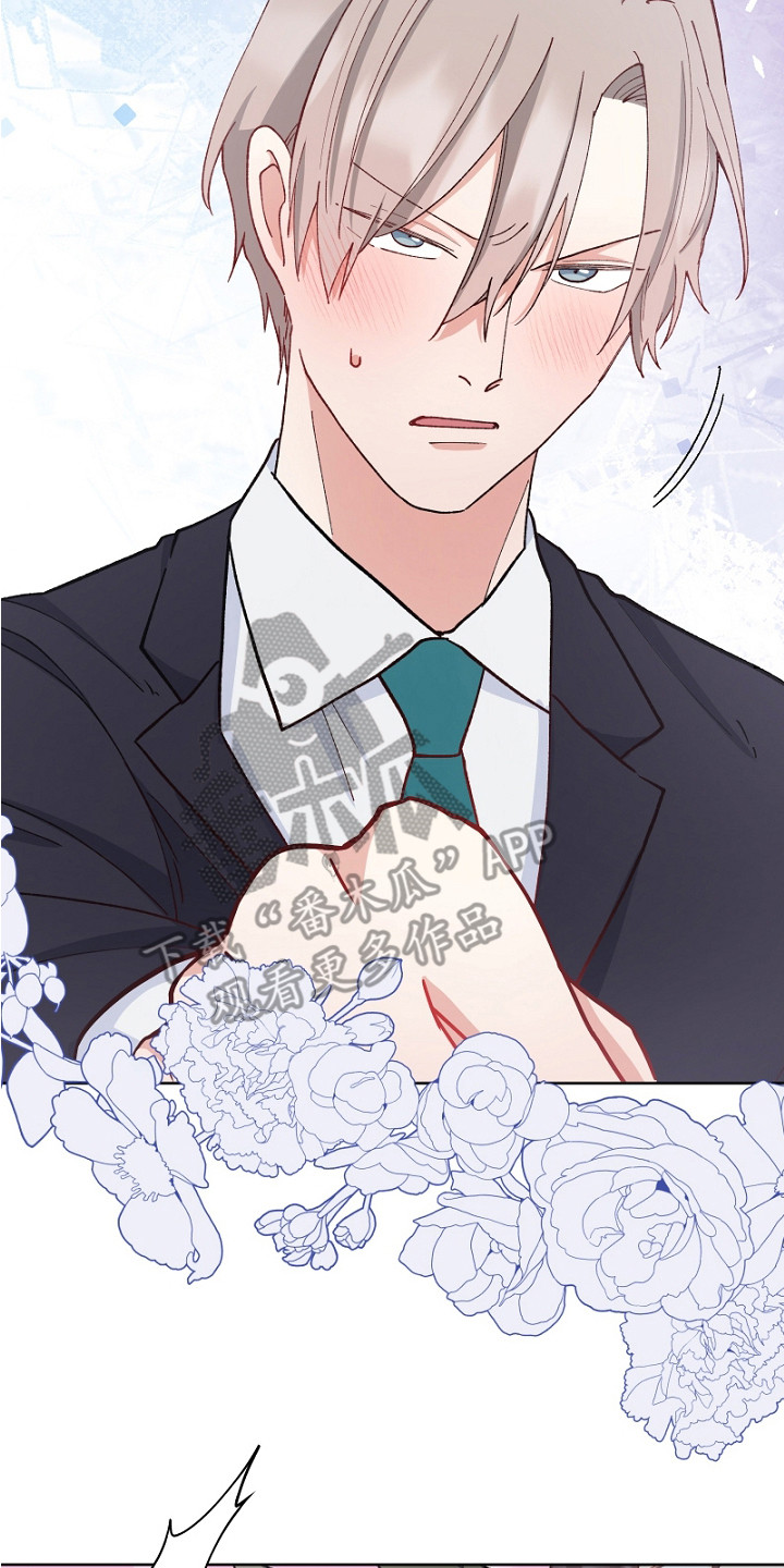纯情代码漫画,第19章：道歉4图