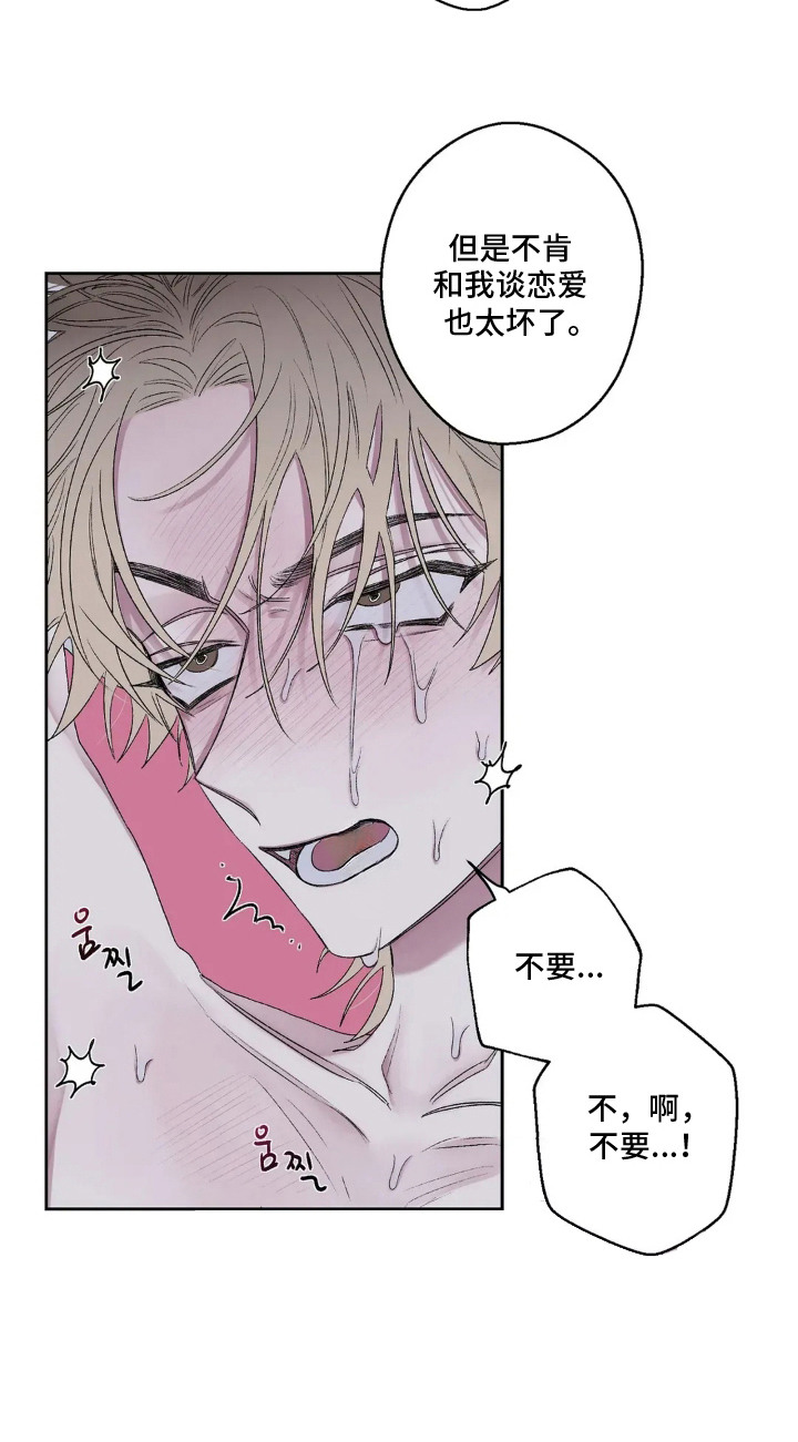 邻家美男团漫画,第11章：小声点2图