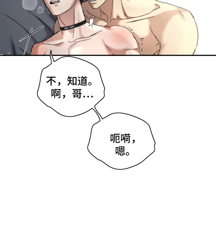 第6章：亲手驯服3