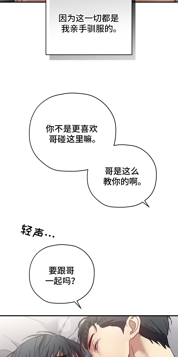 第6章：亲手驯服0