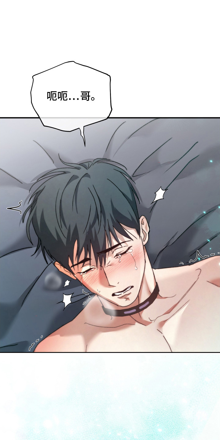 第6章：亲手驯服3