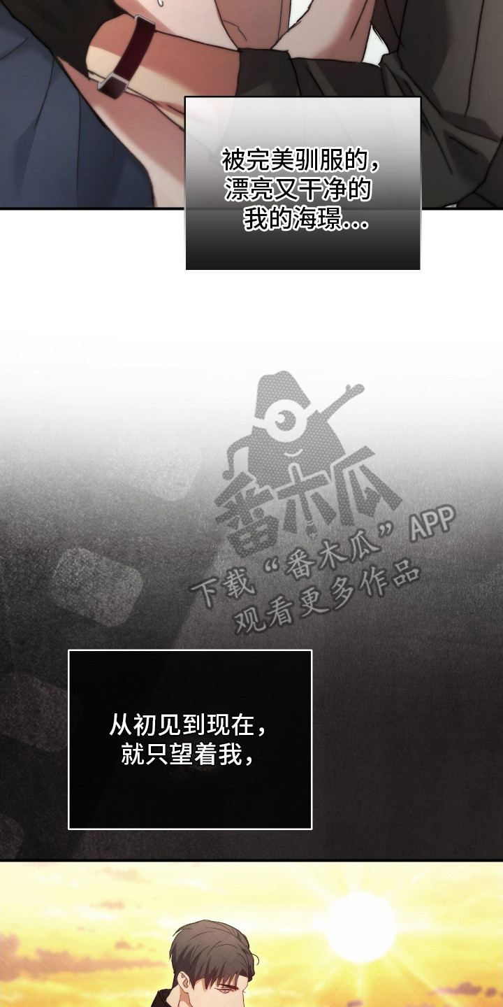 第6章：亲手驯服3