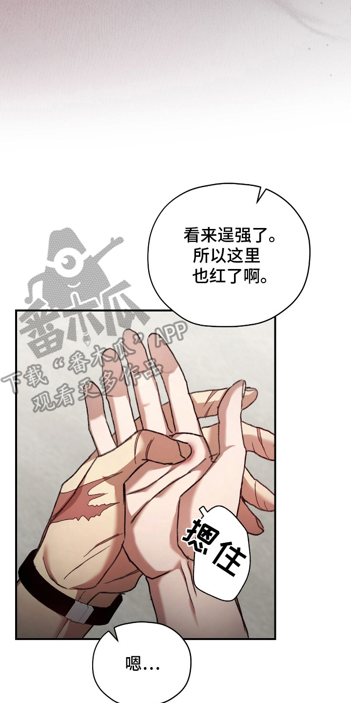 双生迷雾全集免费完整版漫画,第11章：被骗了2图