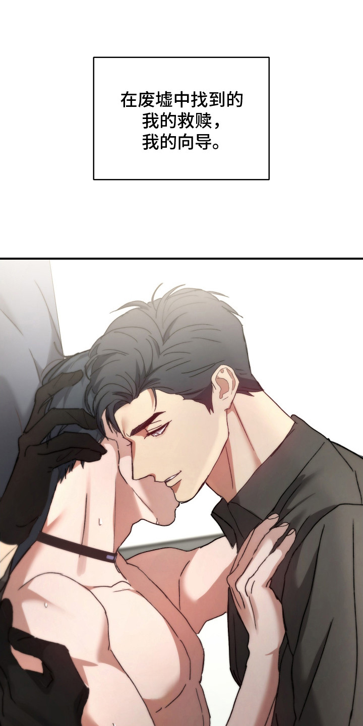 第6章：亲手驯服2