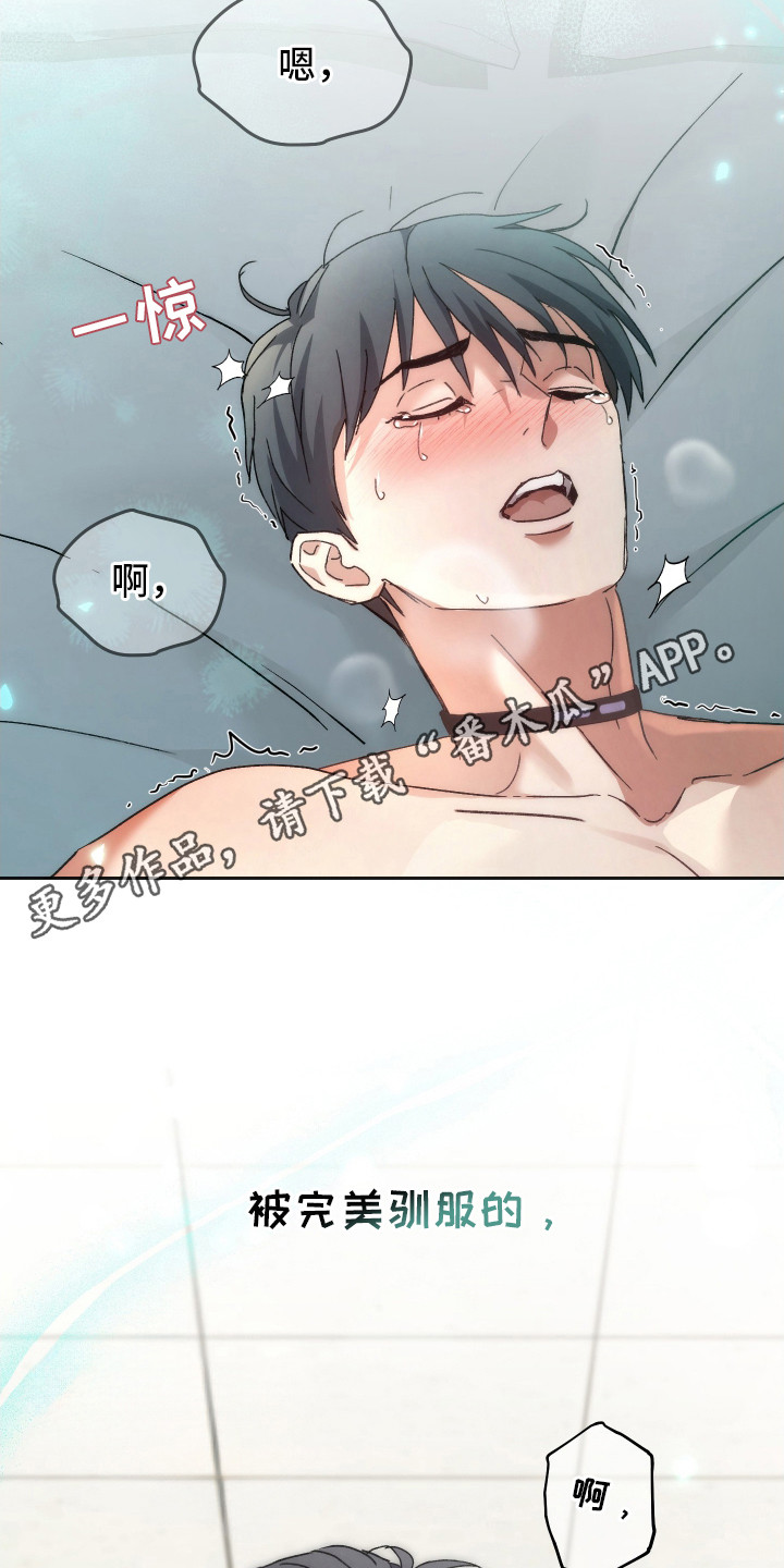 第6章：亲手驯服0