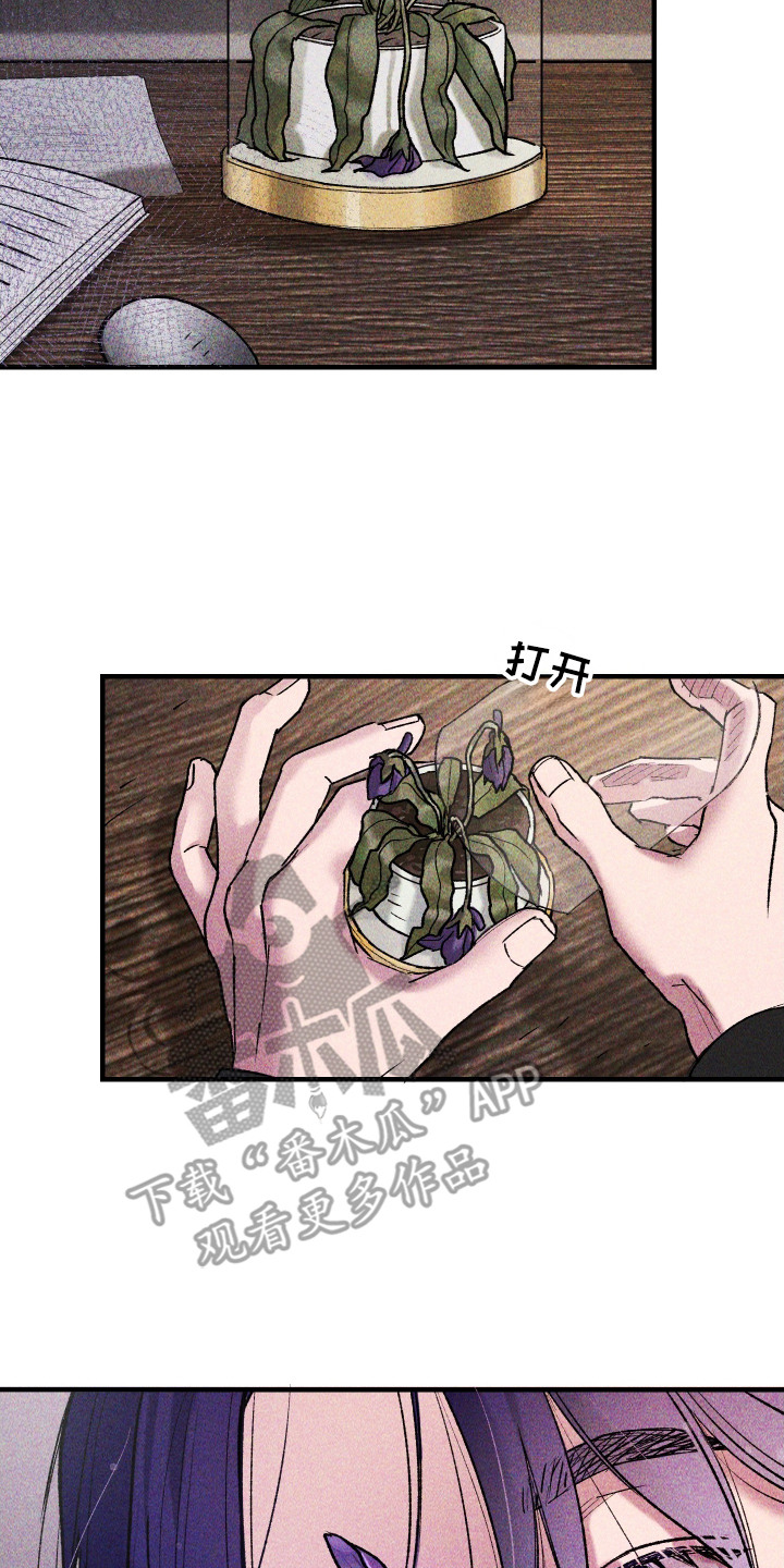 紫罗兰价格漫画,第6章：想念5图