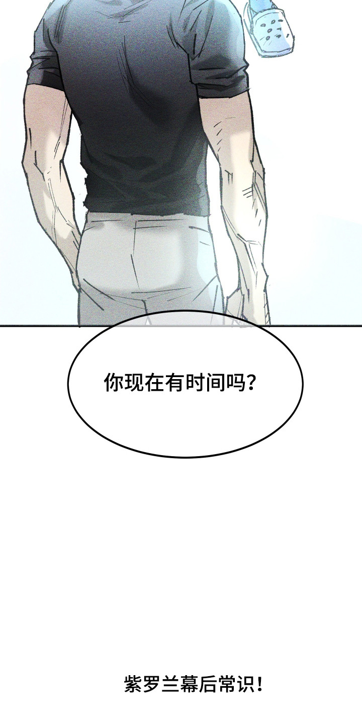 紫罗兰花的寓意和象征漫画,第10章：暂时住下4图