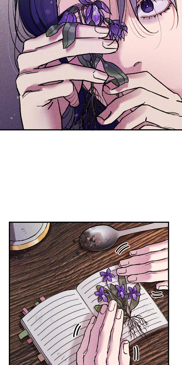 紫罗兰价格漫画,第6章：想念1图