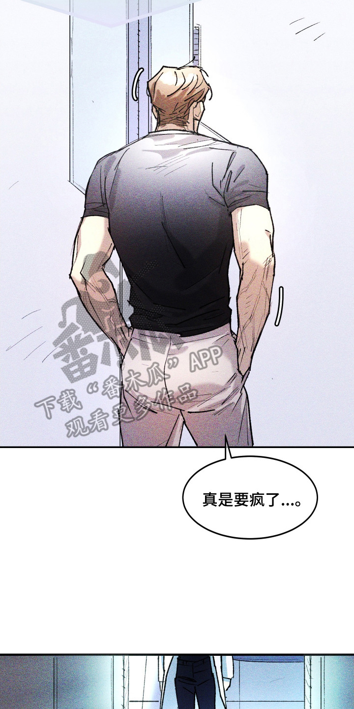 紫罗兰花的寓意和象征漫画,第10章：暂时住下5图