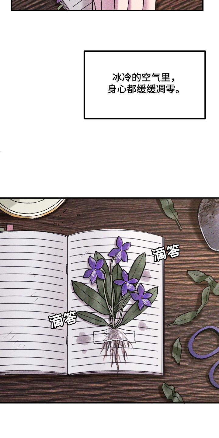 紫罗兰价格漫画,第6章：想念2图