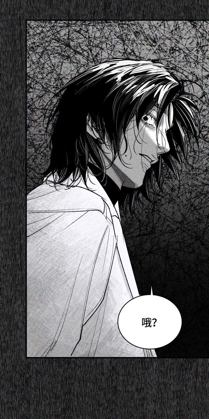 紫罗兰协议漫画,第16章：梦魇2图