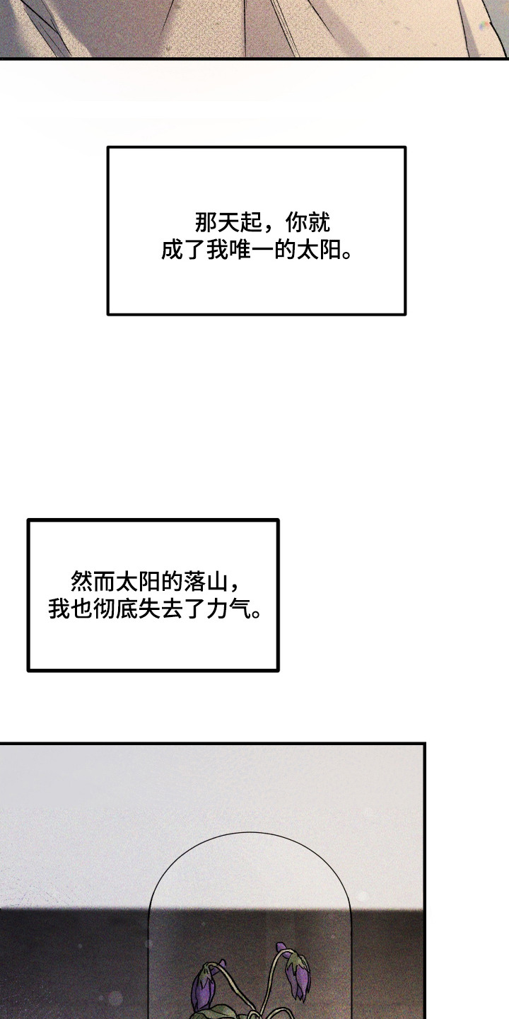 紫罗兰价格漫画,第6章：想念4图