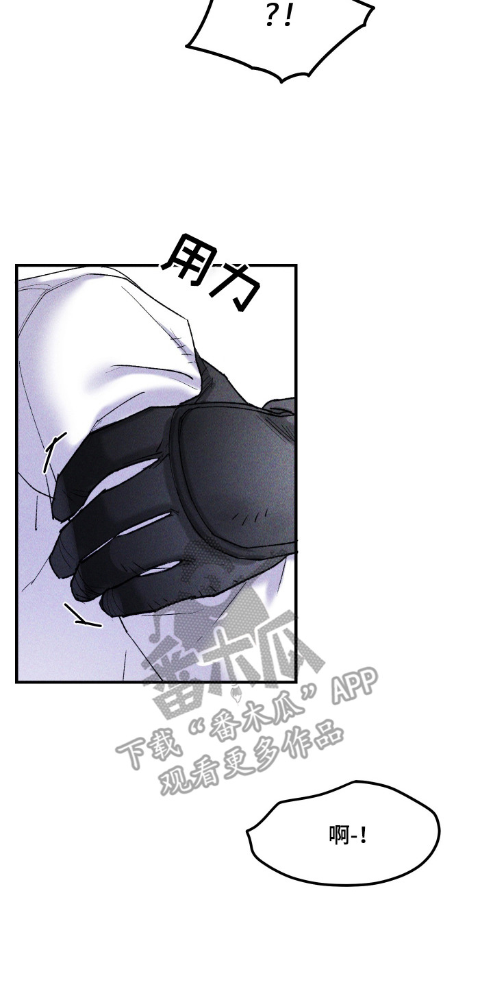 紫罗兰协议漫画,第15章：一起留下5图