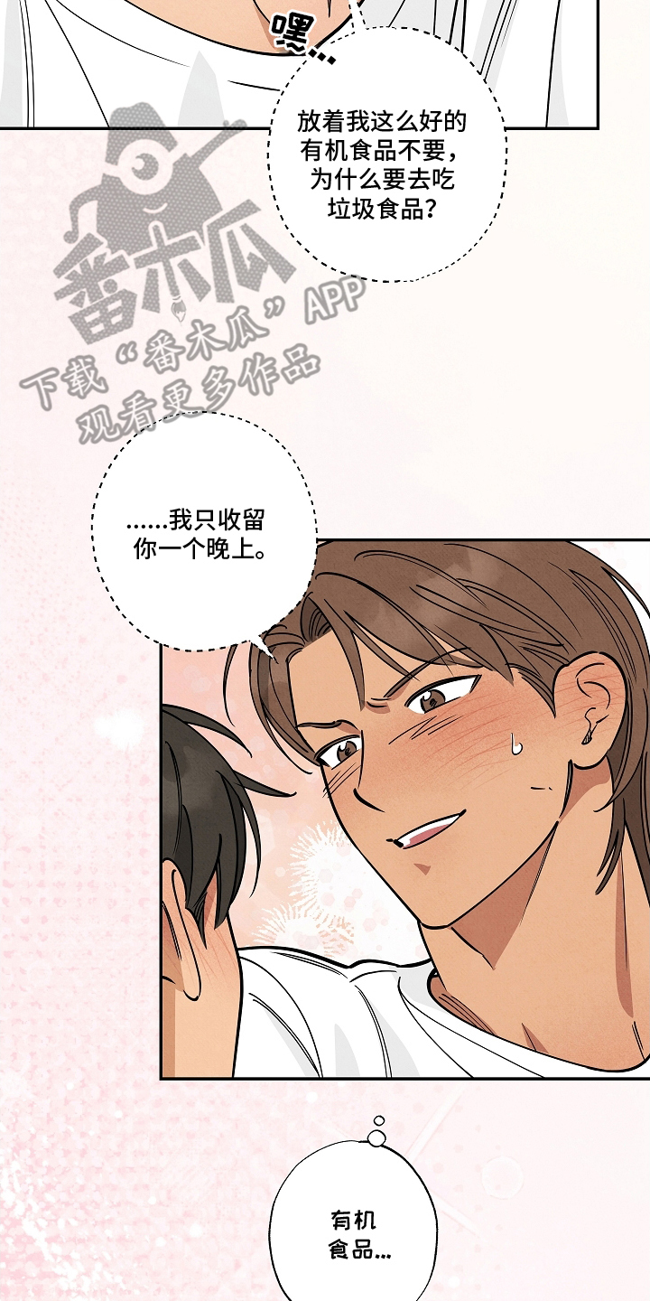 追杀七日漫画,第13章：一个晚上4图