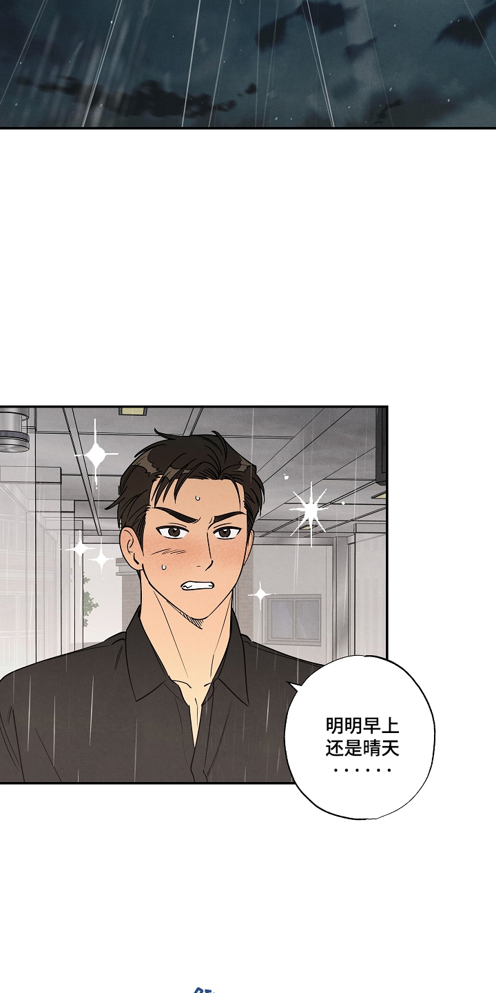 七日追膘添加剂效果怎么样漫画,第6章：听你的5图