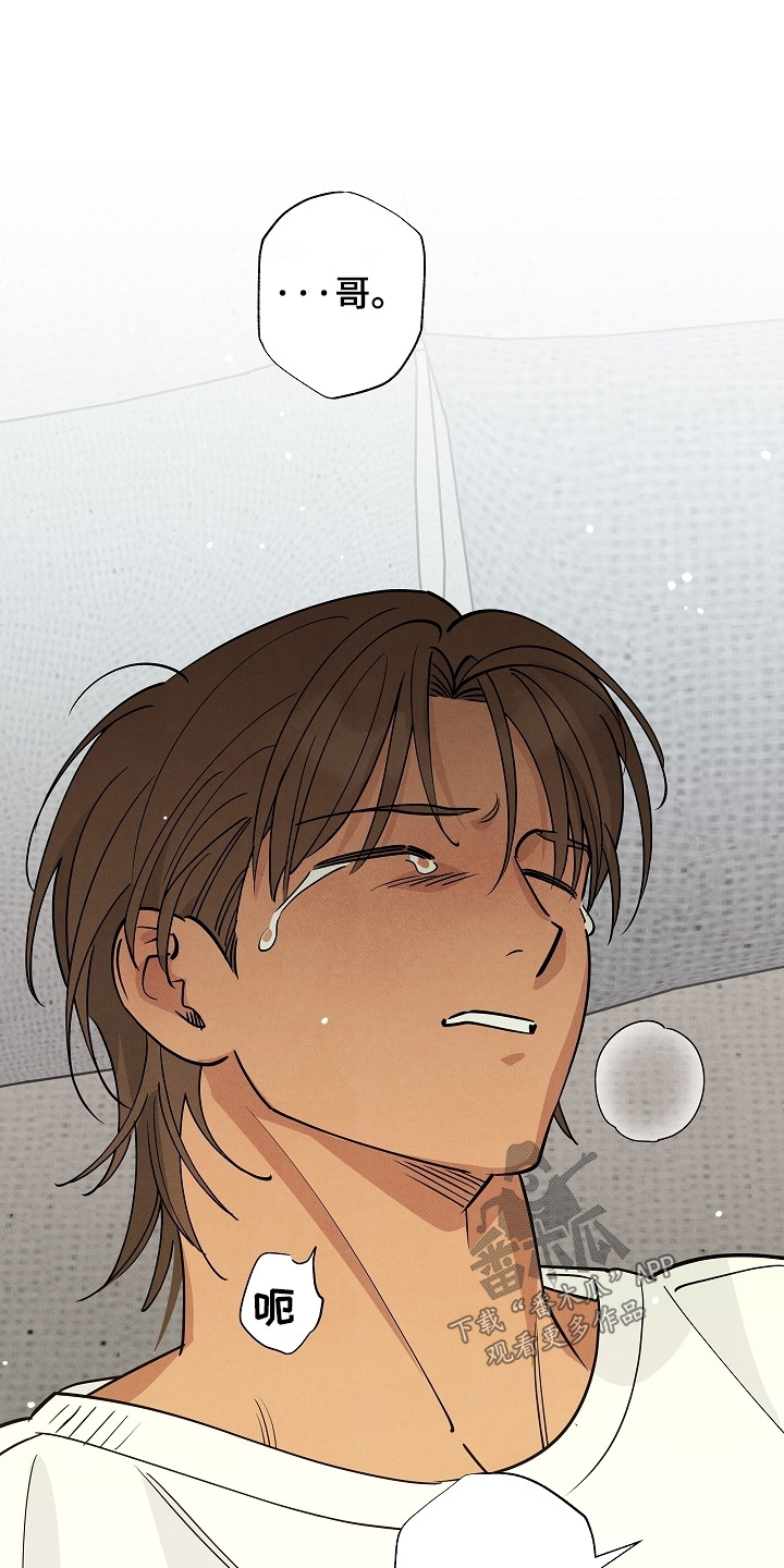 七日追火漫画,第21章：求你2图