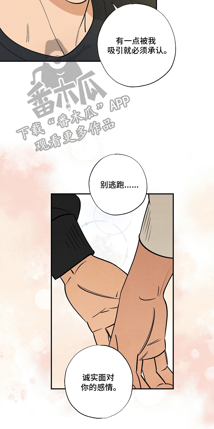 七日追花漫画,第18章：别逃避1图