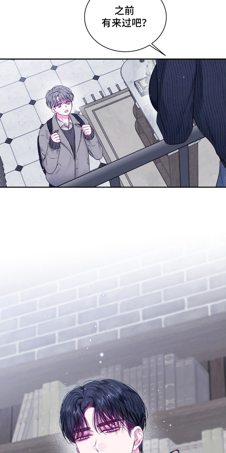 不完全的空白漫画,第2章：猫咪书店4图