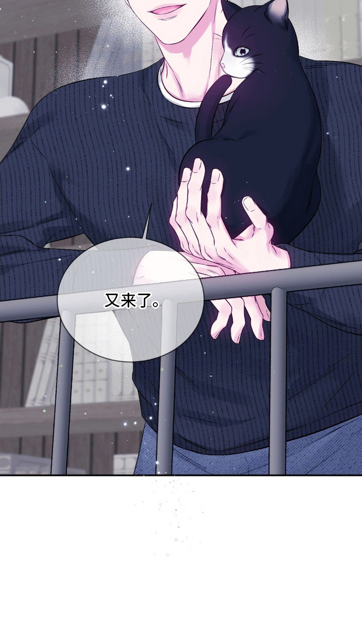 不完全的空白漫画,第2章：猫咪书店5图