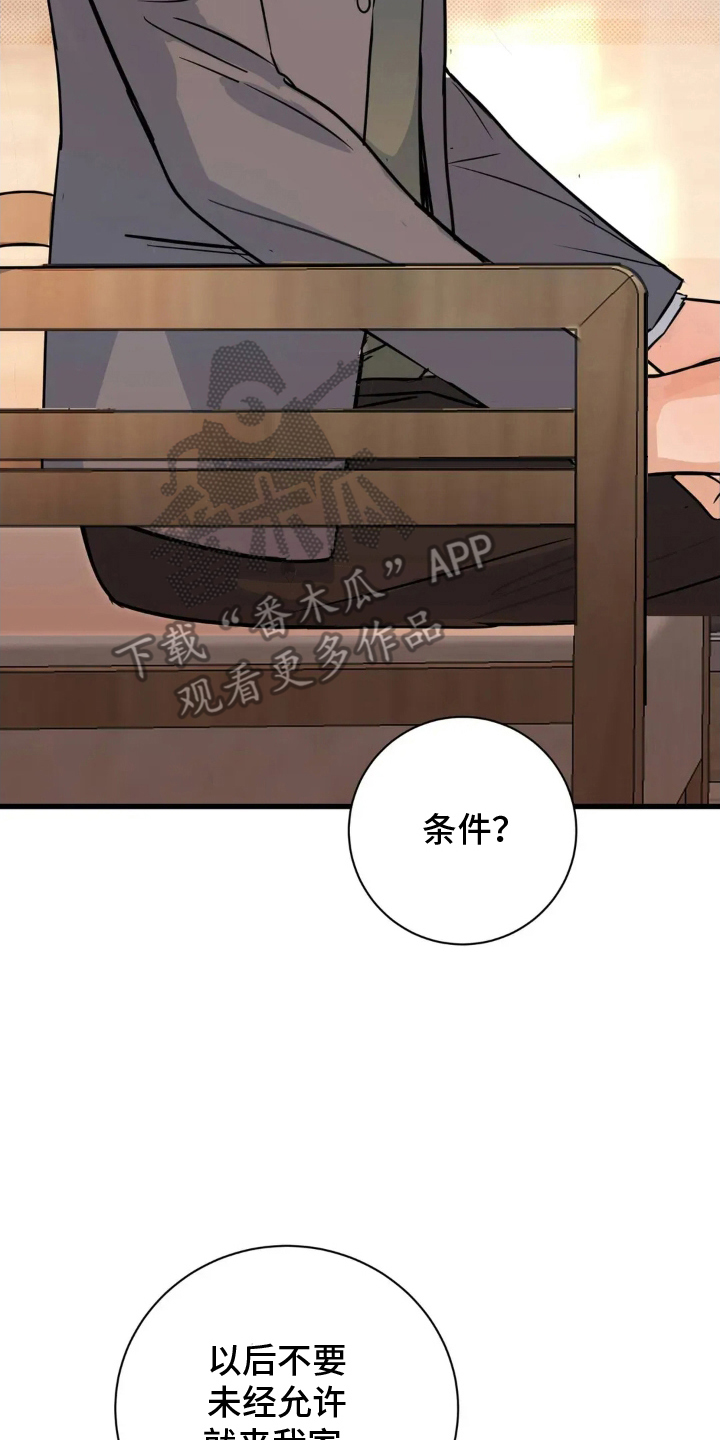 月亮和祖母绿漫画,第4章：工作还钱5图