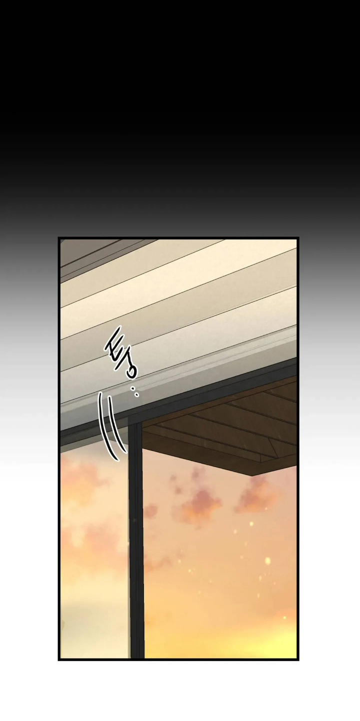 月亮和前夫离婚原因漫画,第17章：差异2图