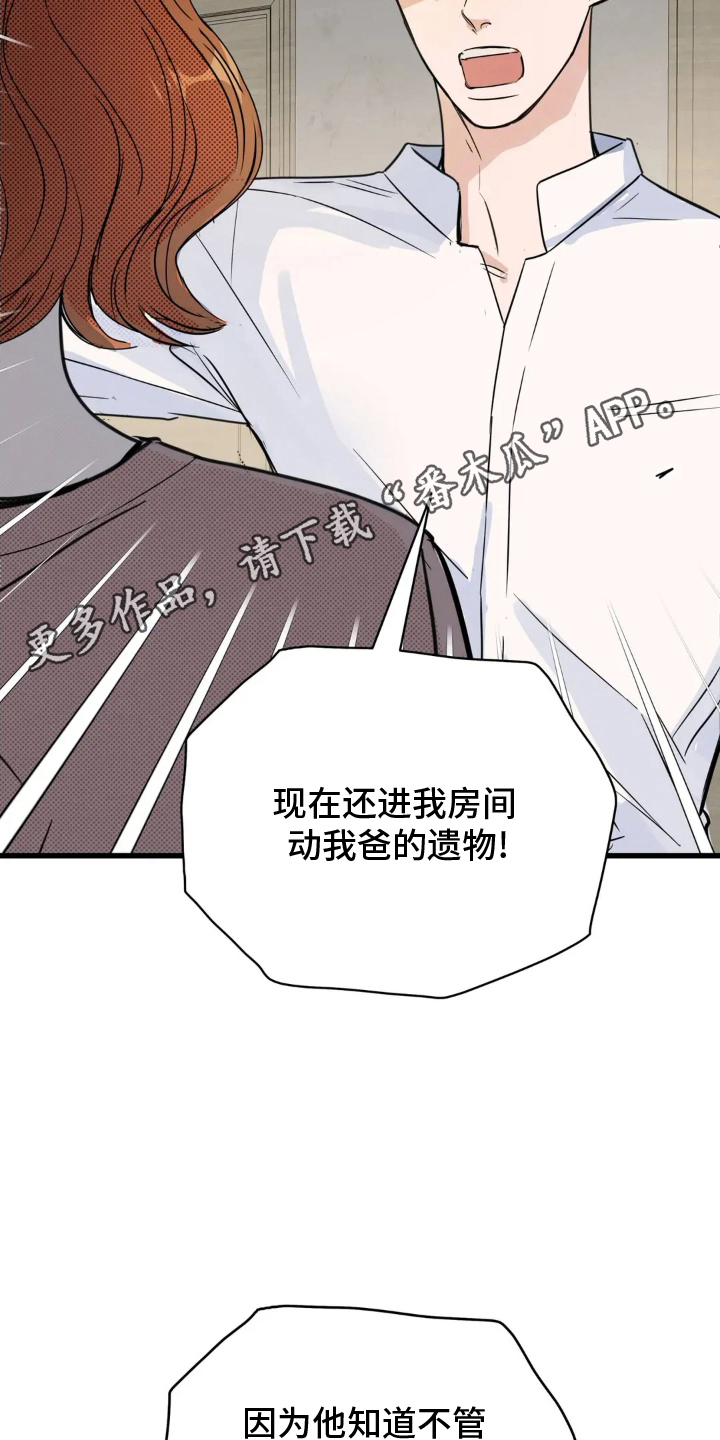 月亮和祖母绿漫画,第2章：遗物1图