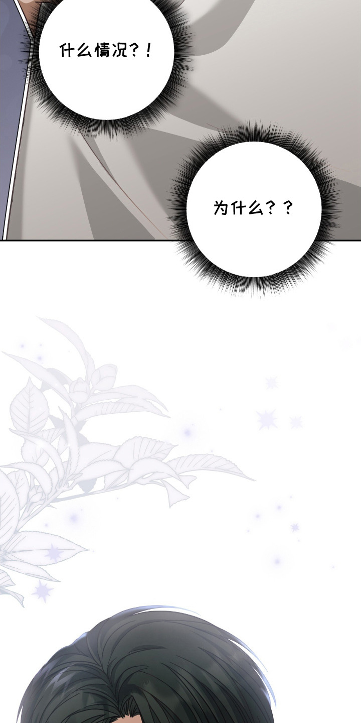 向导迷途英文漫画,第1章：闯祸了4图