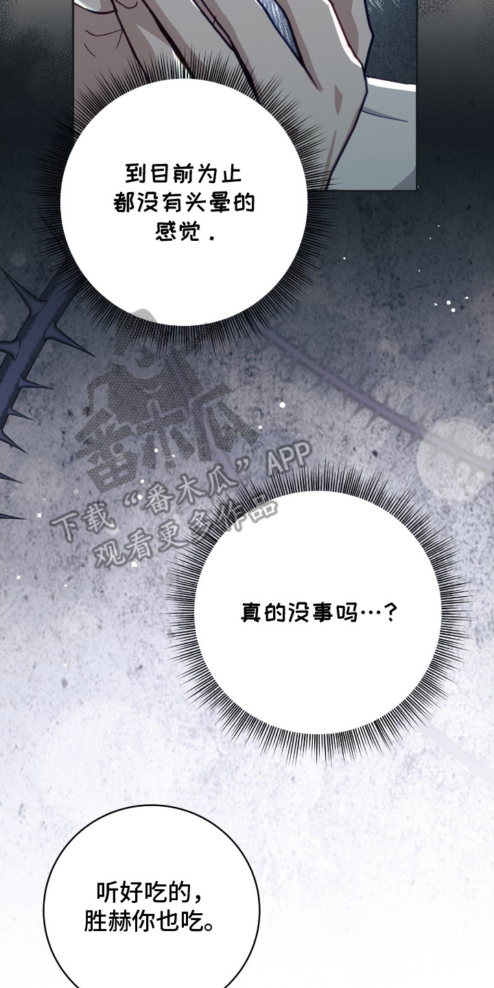 向导迷途英文漫画,第11章：涂药4图