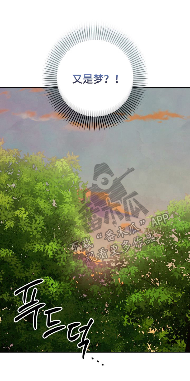 温月潜行漫画角色漫画,第14章：不敢看4图