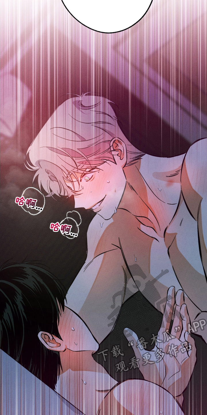 霓虹体温漫画后续在哪看漫画,第5章：难道是这个5图