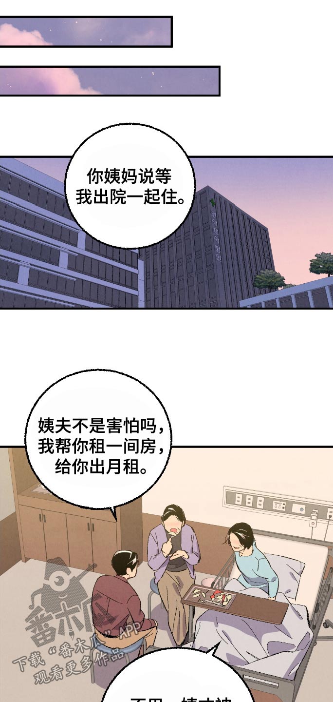 完美伴侣漫画,第176章：【第二季】顺利解决5图