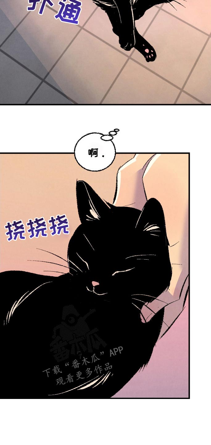 完美伴侣漫画,第176章：【第二季】顺利解决2图