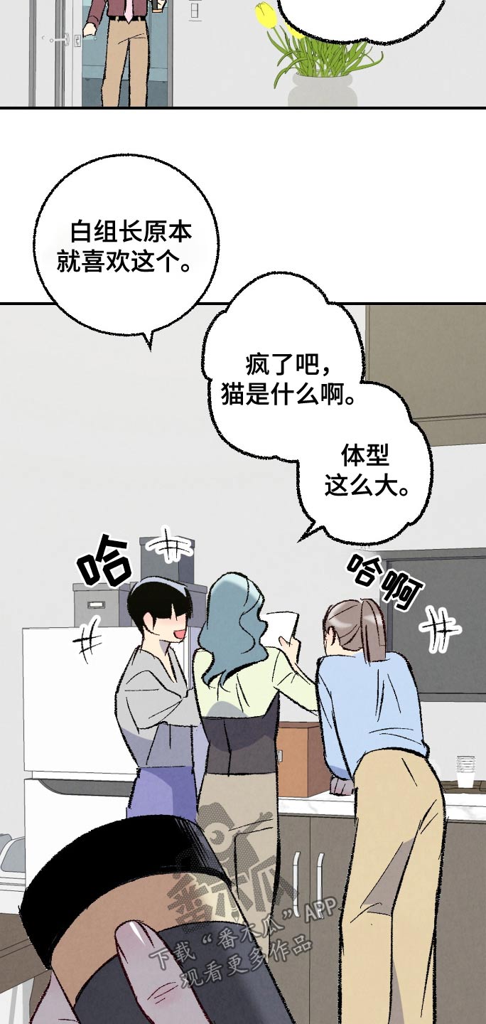 完美伴侣漫画,第175章：【第二季】真可爱1图