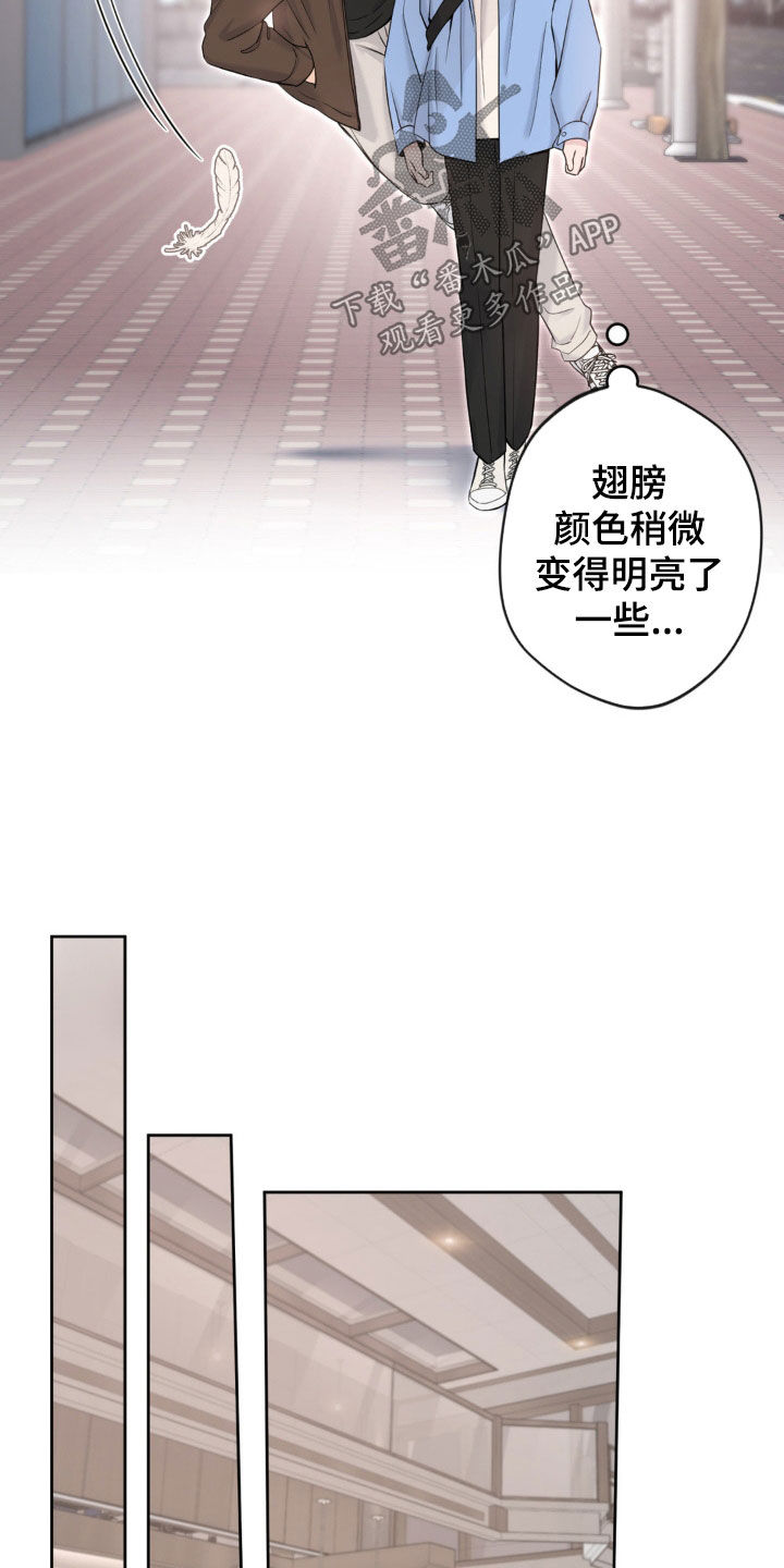 天使圣王全身图漫画,第19章：担忧4图