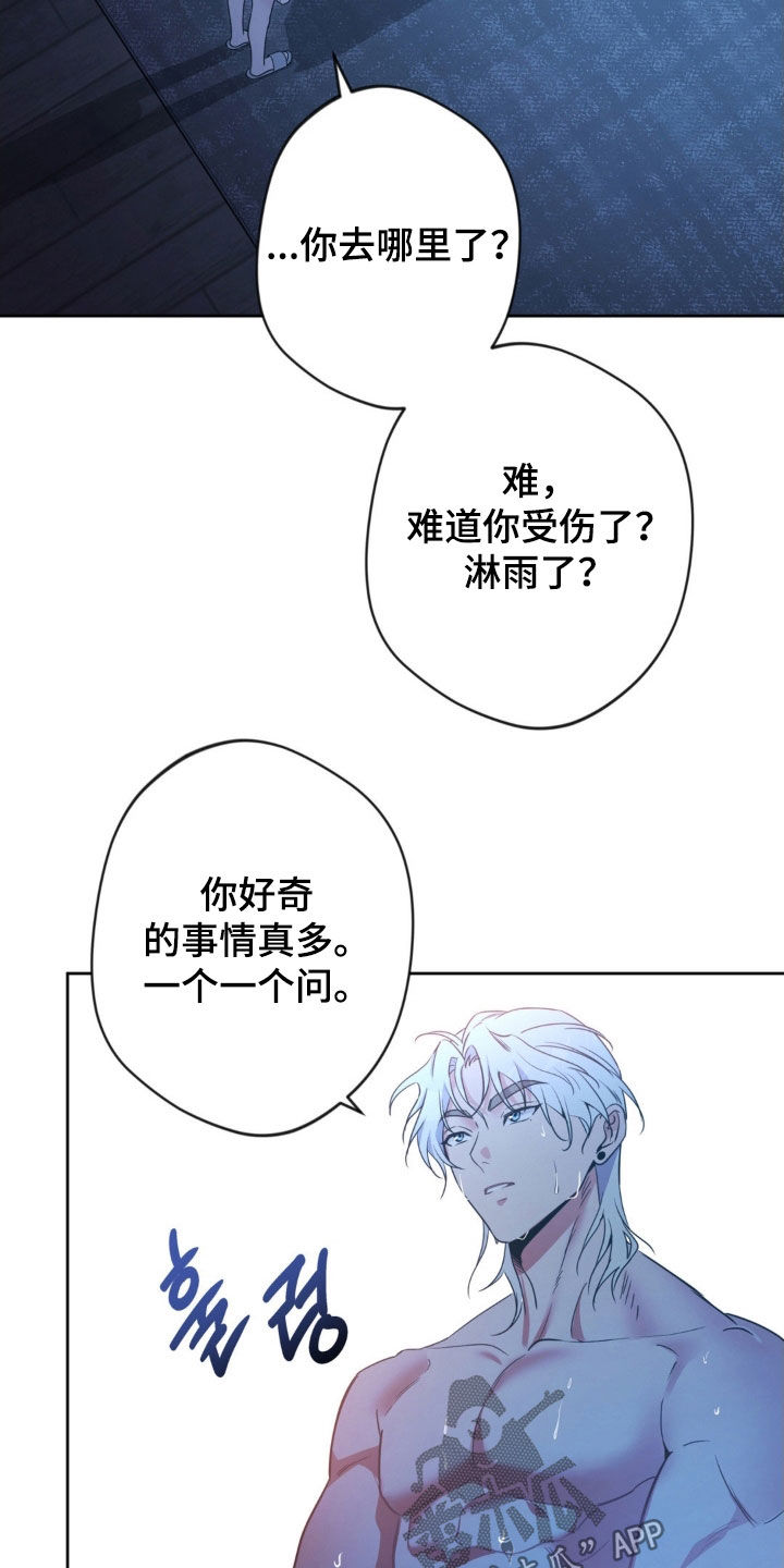 天使圣痕漫画,第62章：【第二季】确认3图