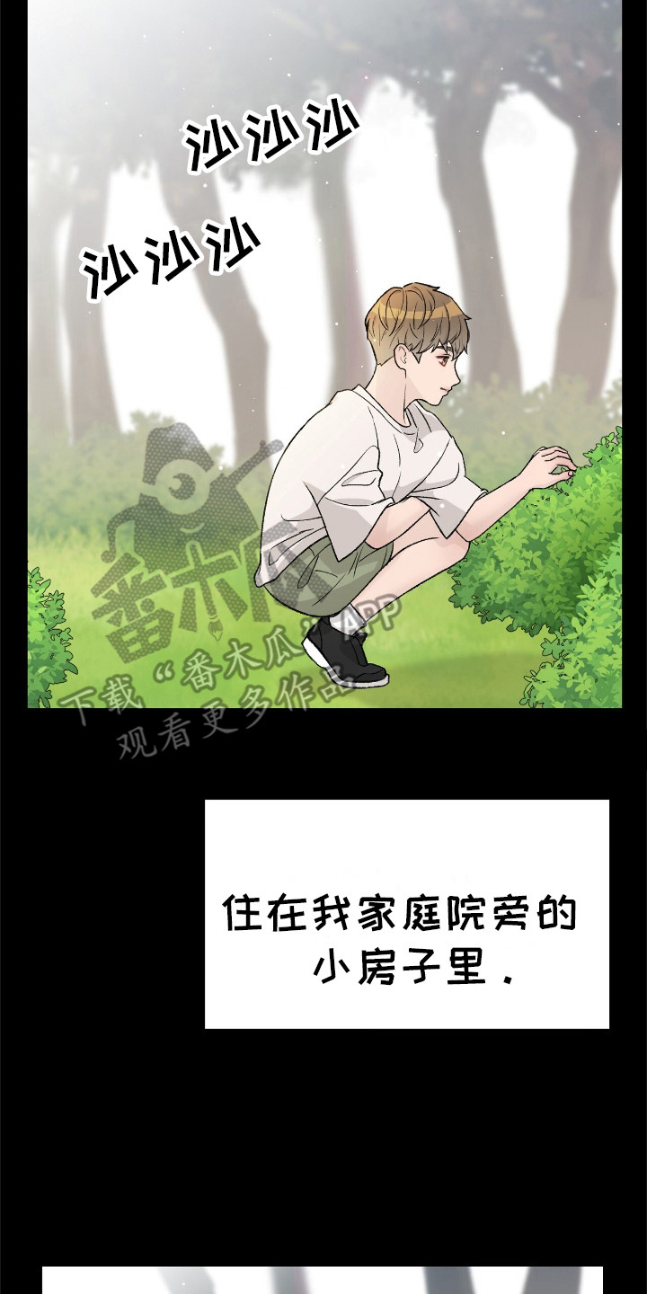 神犬也疯狂圣诞狗漫画,第3章：摩卡2图