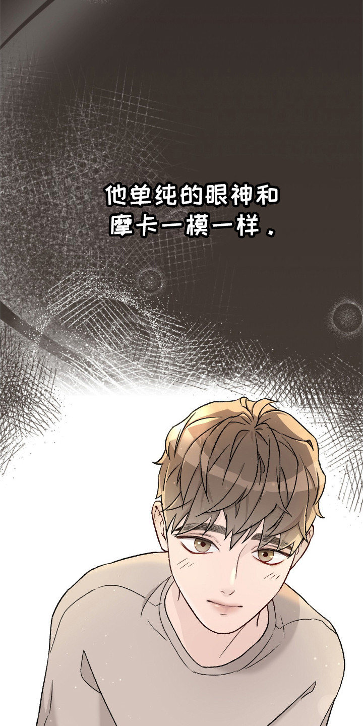 神犬也疯狂圣诞狗漫画,第3章：摩卡5图