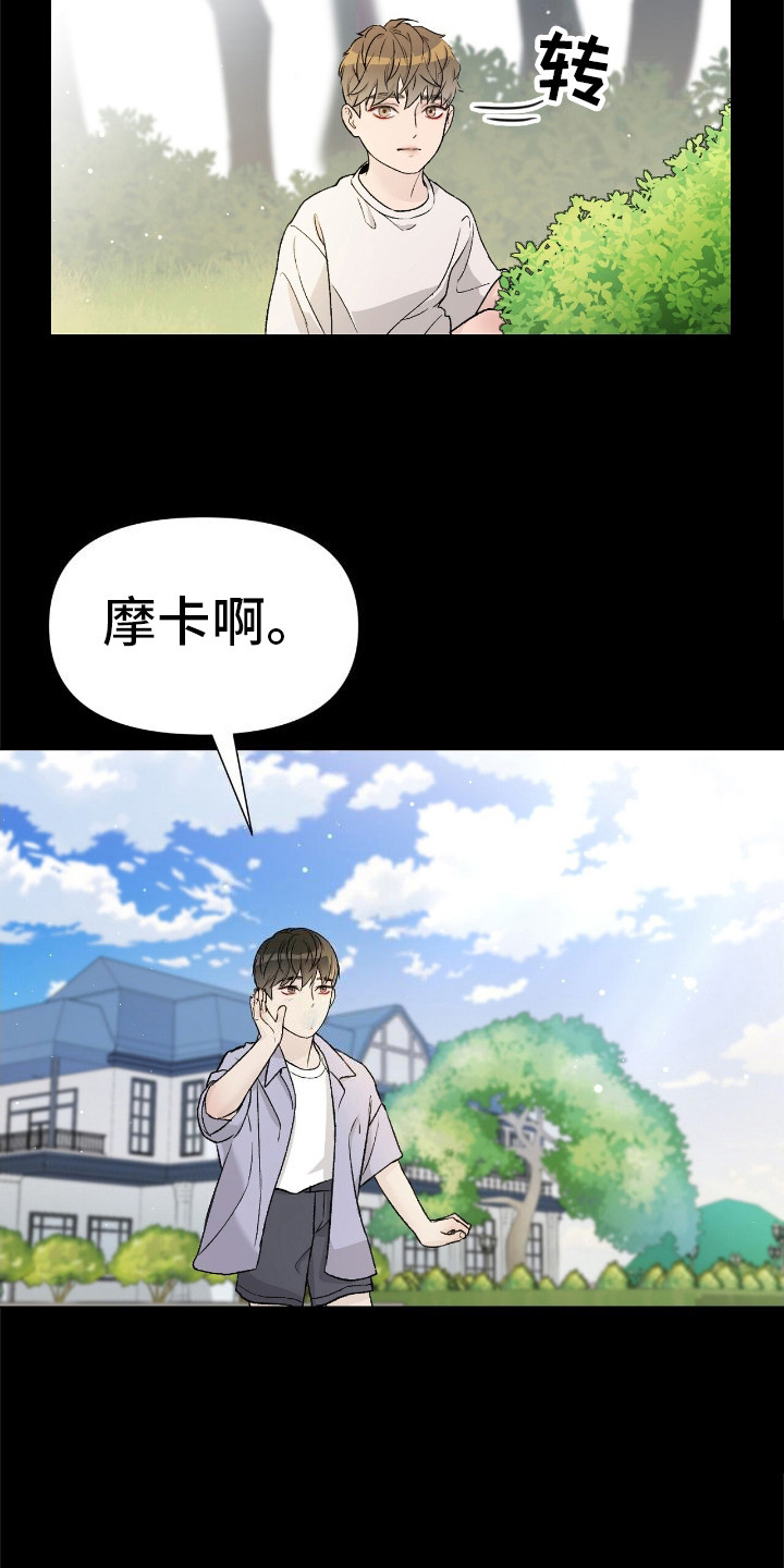 神犬也疯狂圣诞狗漫画,第3章：摩卡3图