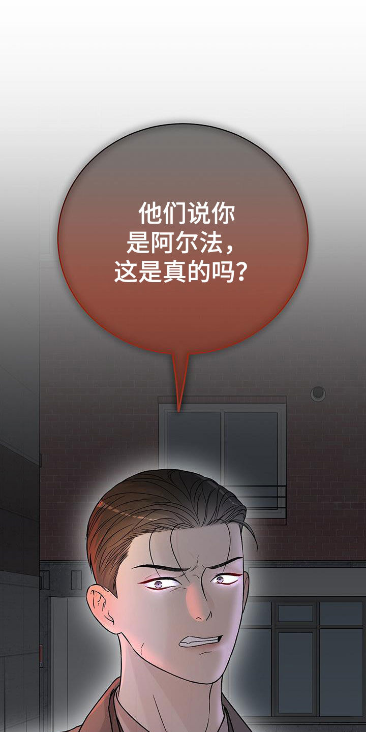 恶狗也疯狂漫画,第43章：这是真的吗1图